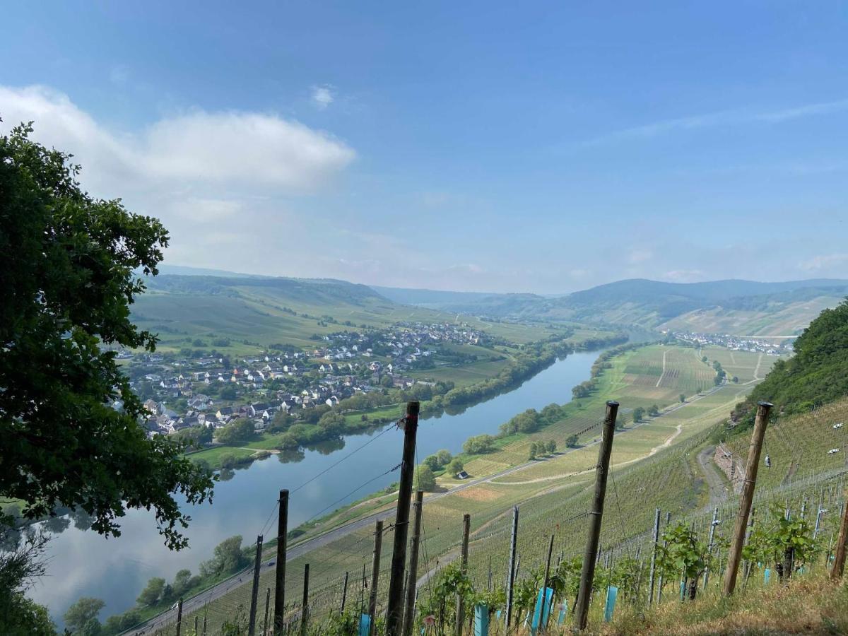 Neu!!! Moselbleibe Winzerhaus Kues Apartamento Bernkastel-Kues Exterior foto