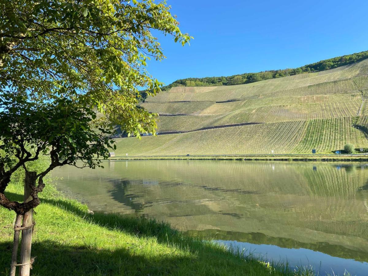 Neu!!! Moselbleibe Winzerhaus Kues Apartamento Bernkastel-Kues Exterior foto